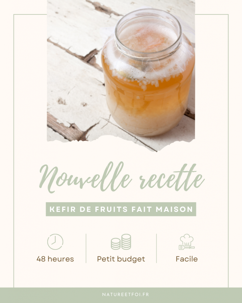 Kéfir de fruits, la boisson miracle