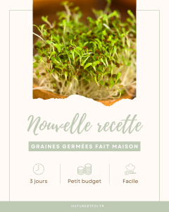 Booster sa vitalité avec les graines germées