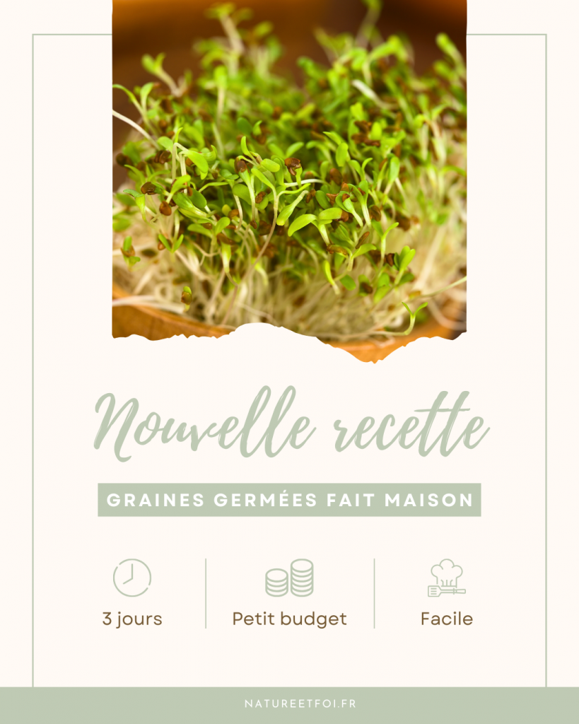 Booster sa vitalité avec les graines germées