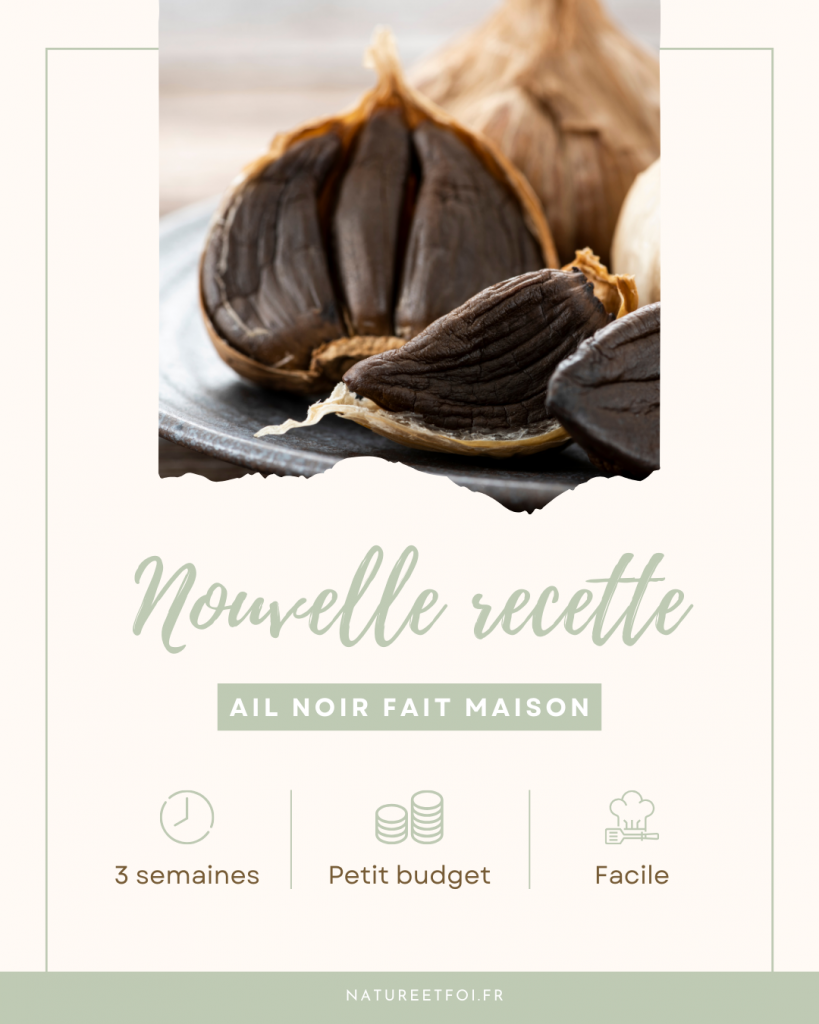 Préparer l’ail noir soi-même facilement