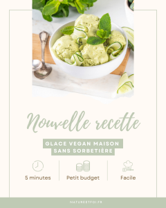 Glace maison sans sorbetière