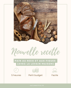 Pain d&rsquo;épeautre aux noix et aux figues (recette au levain maison)