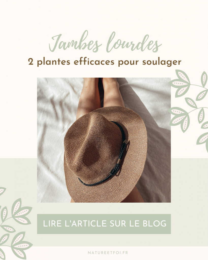 2 plantes efficaces pour soulager les jambes lourdes