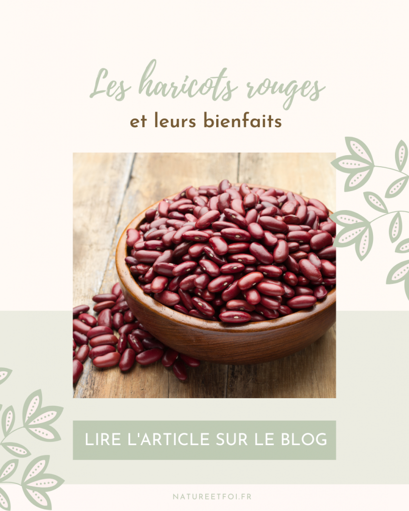 Les haricots rouges et leurs bienfaits