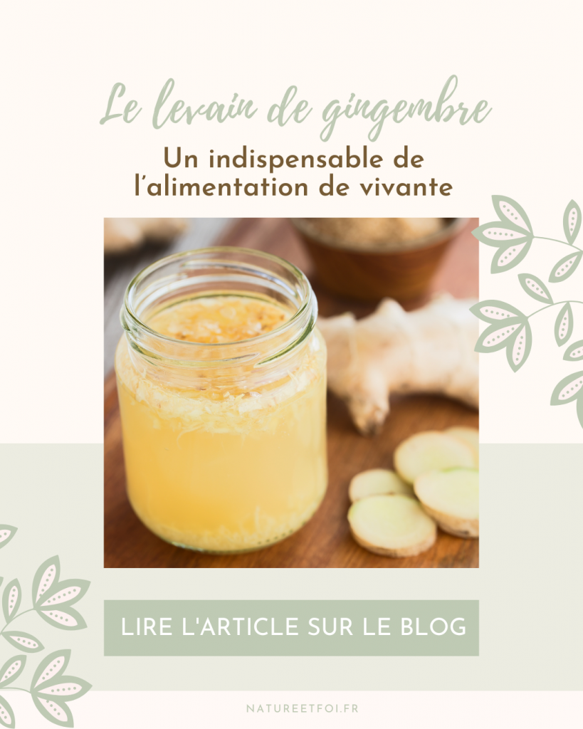 Le levain de gingembre : un indispensable de l’alimentation vivante !