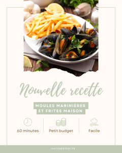Moules marinières et frites maison : le goût des vacances à la maison