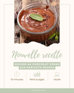 Mousse au chocolat vegan (et bluffante) aux haricots rouges : la recette qui surprend à tous les coups !