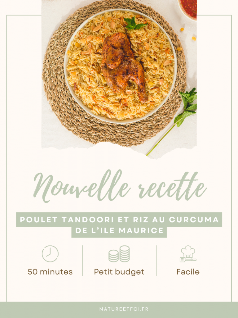 Poulet tandoori et riz au curcuma de l'Ile Maurice