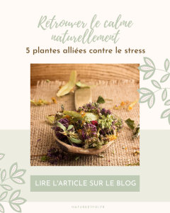 Retrouver le calme naturellement : 5 plantes alliées contre le stress