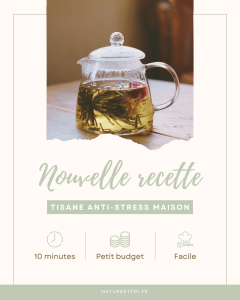Tisane anti-stress maison : une recette simple pour apaiser le corps et l’esprit