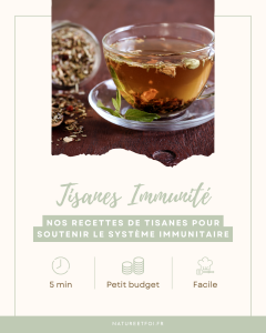 Tisanes naturelles pour renforcer le système immunitaire