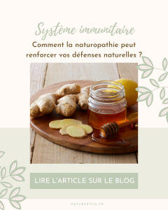 Système immunitaire : comment la naturopathie peut renforcer vos défenses naturelles